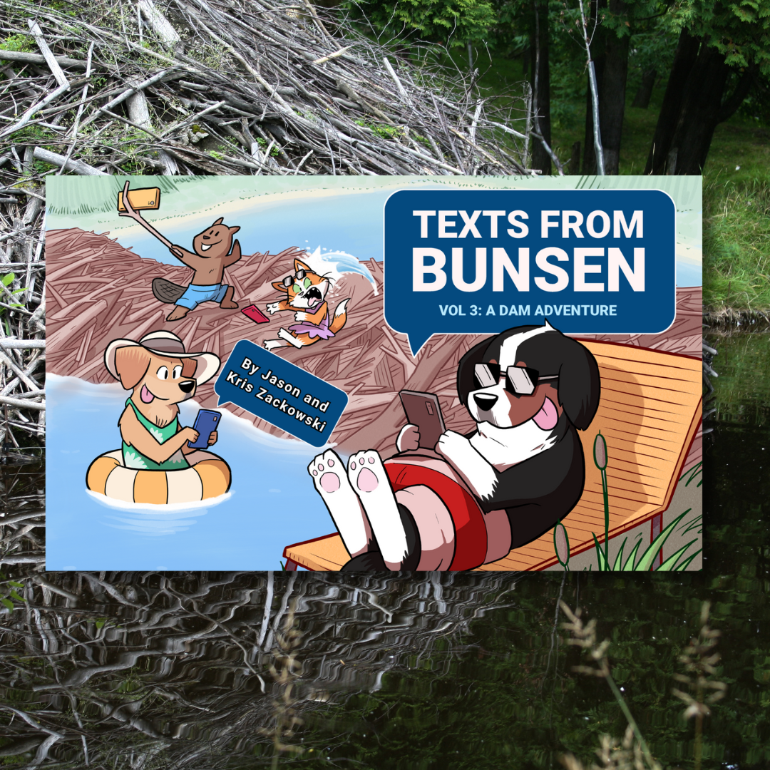 Texts From Bunsen Volume 3: A Dam Adventure Print Book