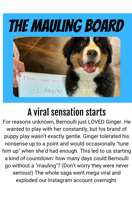 MEGABOOK DEAL with FREE 2026 CALENDAR!