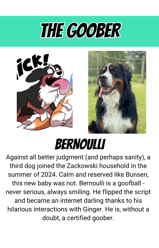 MEGABOOK DEAL with FREE 2026 CALENDAR!