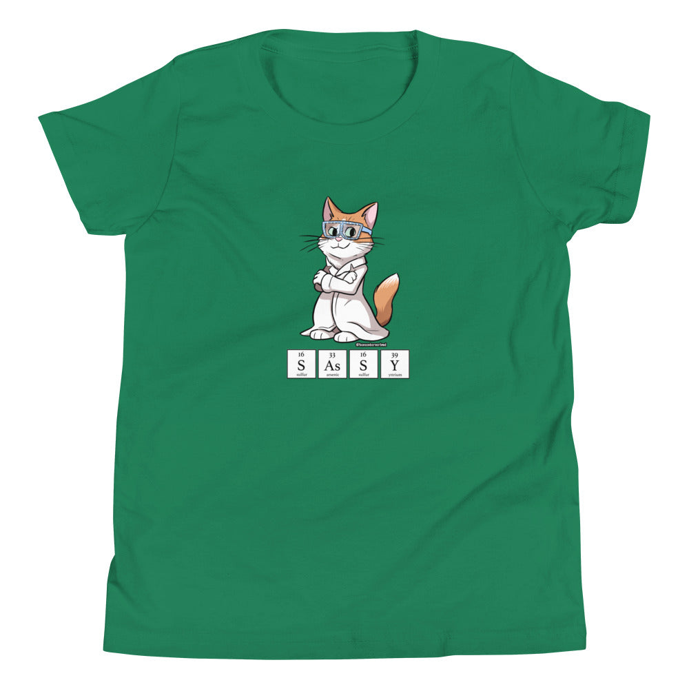 Youth Short Sleeve T-Shirt- SASSY!