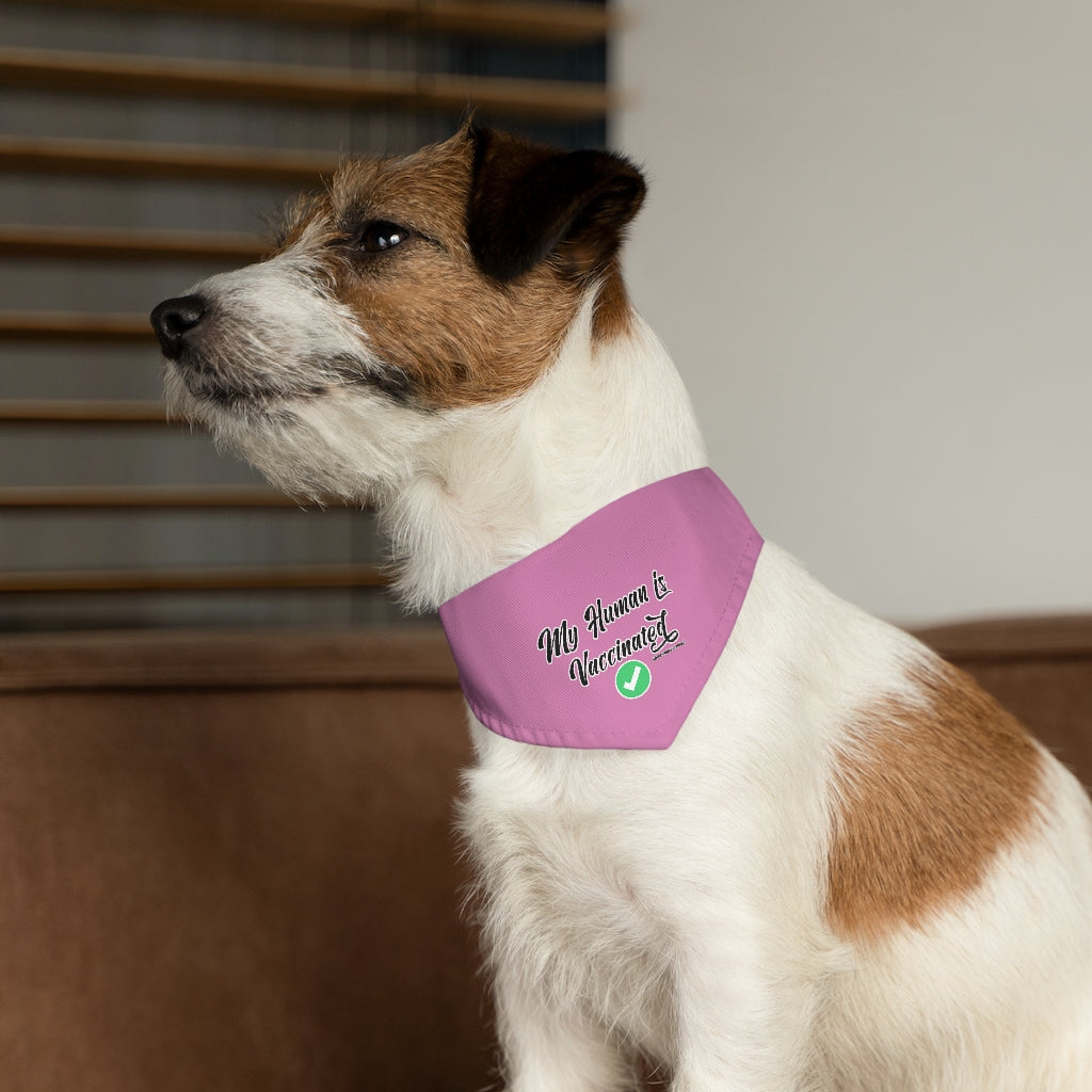 Pet Bandana Collar: My Human is Vaccinated (Pink)