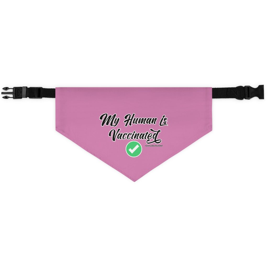 Pet Bandana Collar: My Human is Vaccinated (Pink)