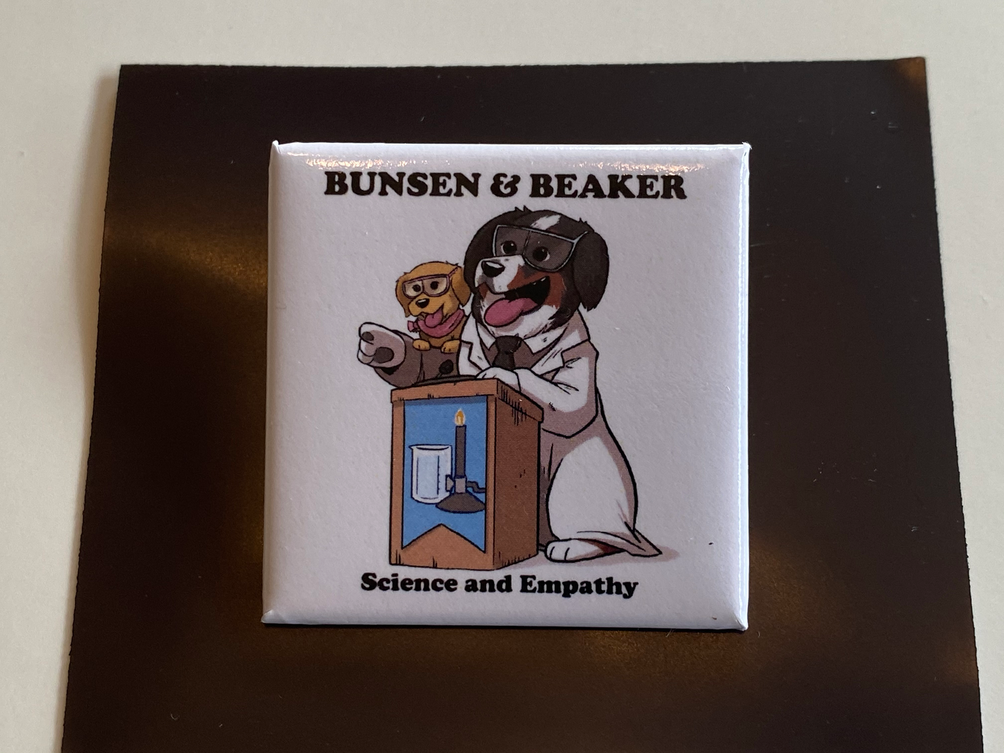 Bunsen and Beaker - Science and Empathy