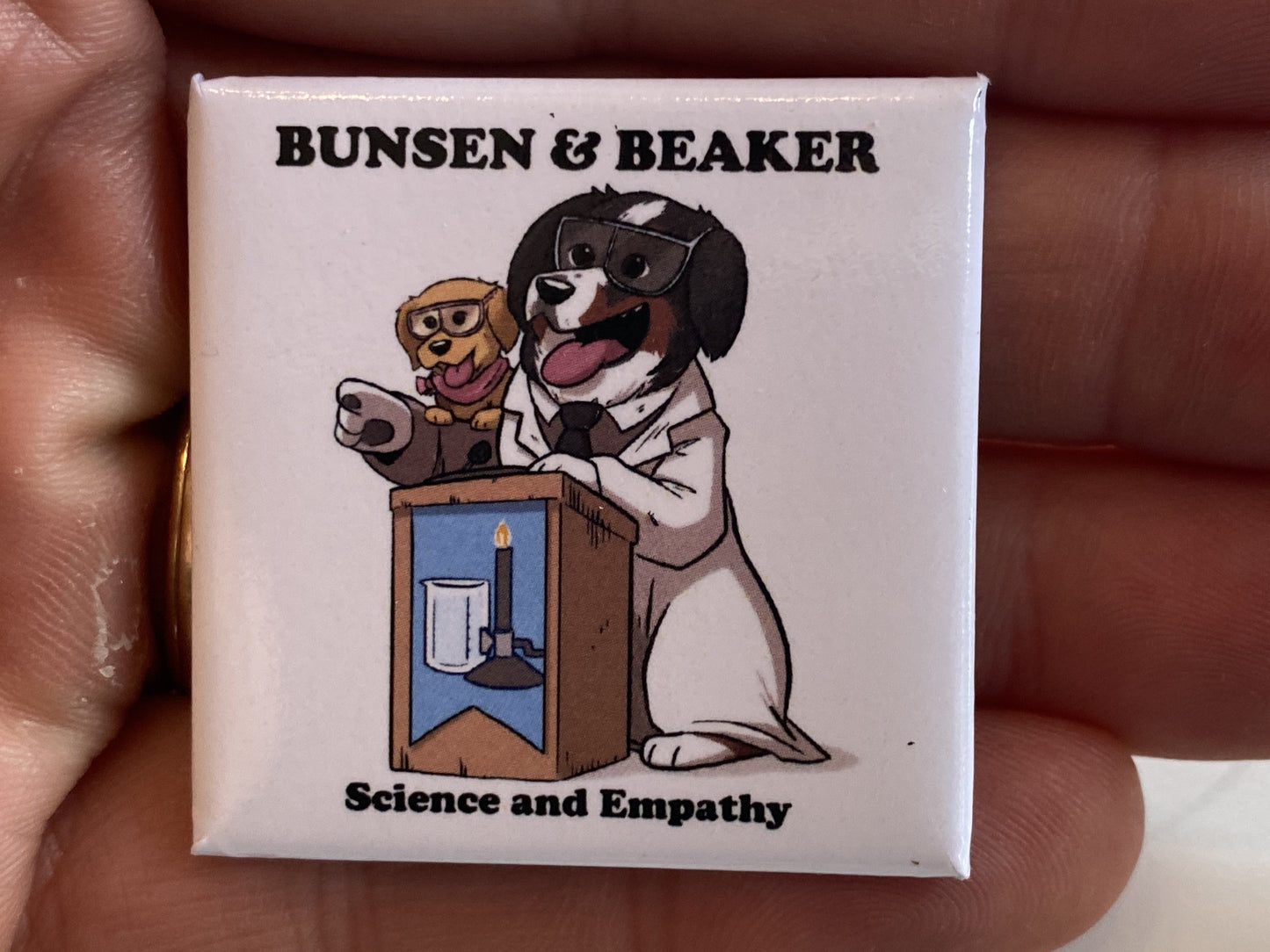 Bunsen and Beaker - Science and Empathy