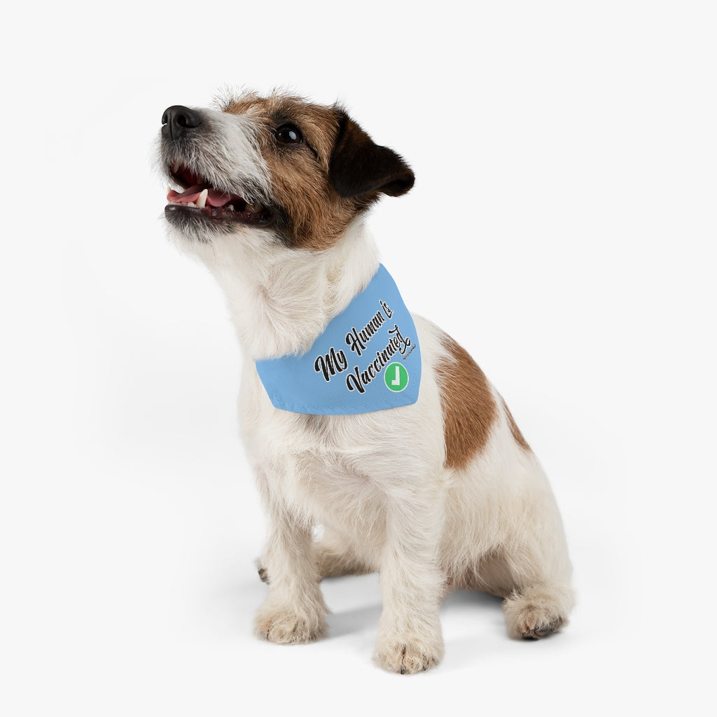 Pet Bandana Collar: My Human is Vaccinated (Blue)