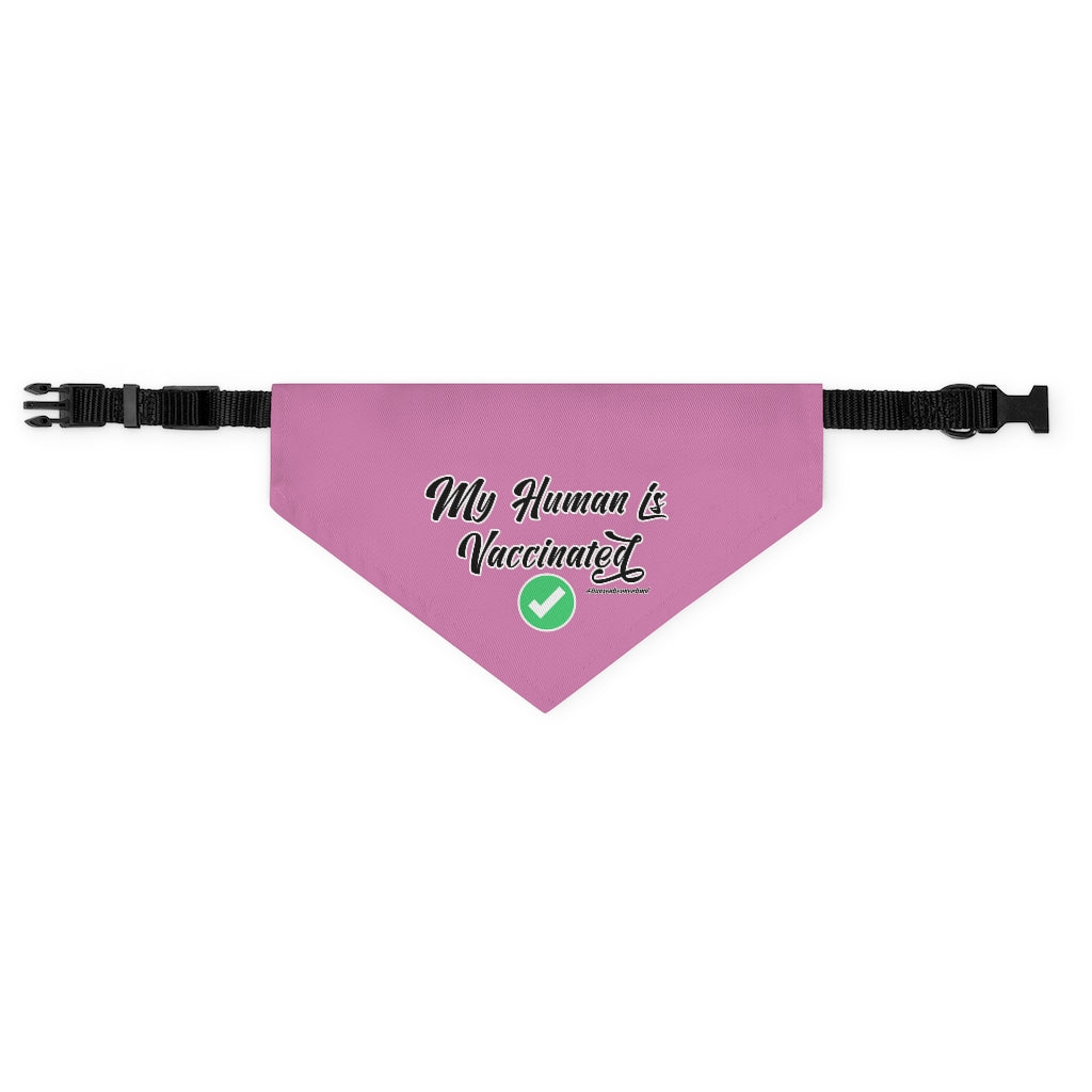 Pet Bandana Collar: My Human is Vaccinated (Pink)