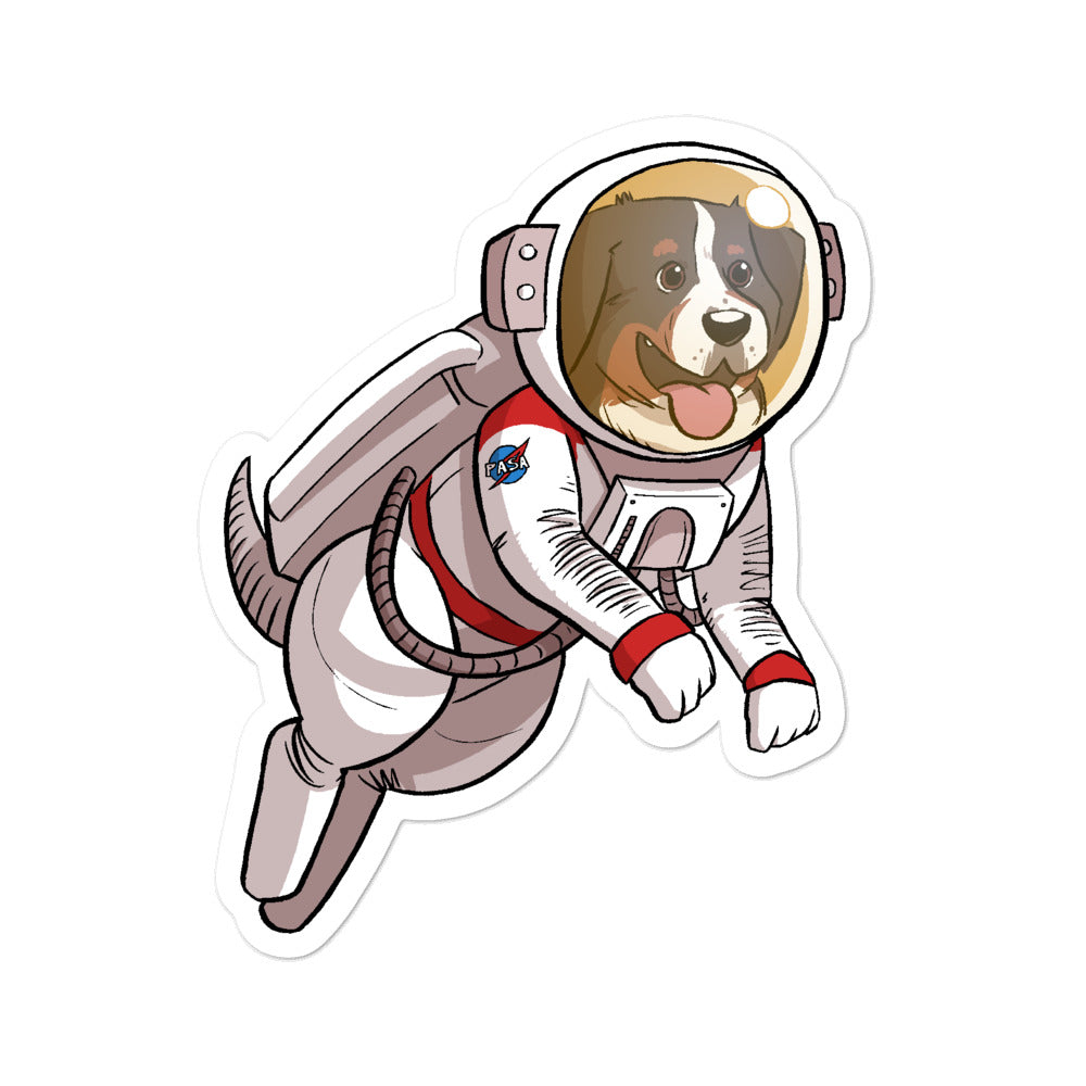 Bubble-free stickers- Space Bunsen