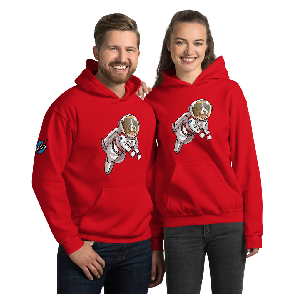 Unisex Hoodie- Space Bunsen with PASA logo on the shoulder!